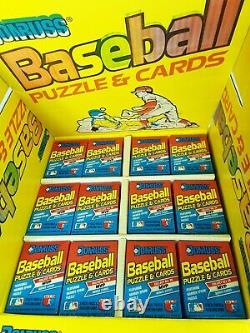 1989 DONRUSS Counter DISPLAY BOX CASE 216 WAX PACKS KEN GRIFFEY JR NEW