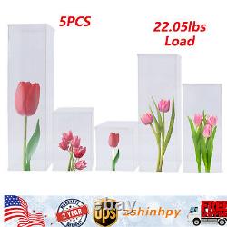 5 Pieces Acrylic Display Box Rectangular Floral Display Box Freestanding New