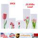 5 Pieces Acrylic Display Box Rectangular Floral Display Box Freestanding New