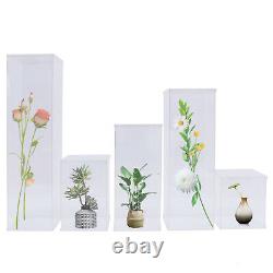 5 Pieces Acrylic Display Box Rectangular Floral Display Box Freestanding New