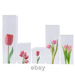 5 Pieces Acrylic Display Box Rectangular Floral Display Box Freestanding New