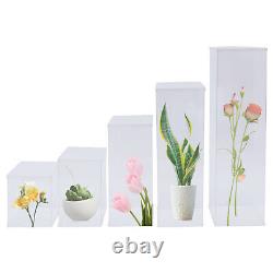 5 Pieces Acrylic Display Box Rectangular Floral Display Box Freestanding New