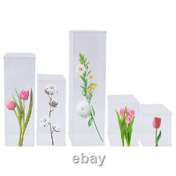 5 Pieces Acrylic Display Box Rectangular Floral Display Box Freestanding New