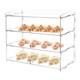 Acrylic Pastry Display Case Bakery Countertop Retail Clear Shelf