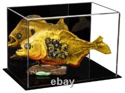 Acrylic Table Top Display Case Rectangle Box with Mirror 9.5x6x6.7 5 (A005)