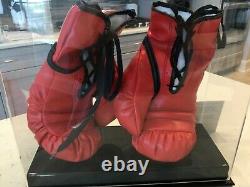 Autographed Muhammad Ali Boxing Gloves (left Glove Signed) With Display Case And