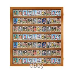 Baseball Card Display Case 70 Ungraded Wall-Mount with Anti-Theft Gold Locks