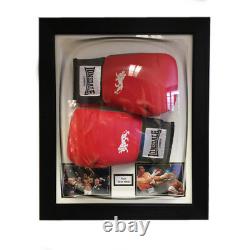 Boxing Glove Acrylic Display Case For 2x Signed Boxing Glove Memorabilia Dome