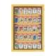 Card Display Case 35 Deep for Graded Cards/ Beckett