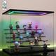 Clear Acrylic Display Case with RGB Lights for Figures Collectibles