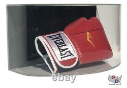 Curved Acrylic Wall Mount Horizontal Boxing Glove Display Case Full Size