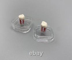 Dental Denture Hinged Display Box Film Membrane Storage Case Small 383817mm