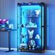 Display Case with LED Lights, Display Cabinet with Glass Stora