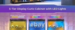 Display Case with LED Lights, Display Cabinet with Glass Stora