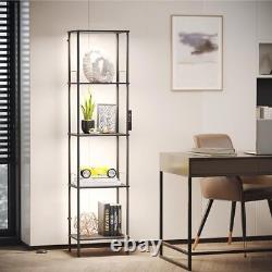 Display Shelf with Dimmable Lights, Lighted Display Cases for Black