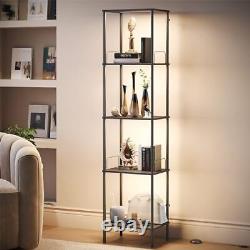 Display Shelf with Dimmable Lights, Lighted Display Cases for Black