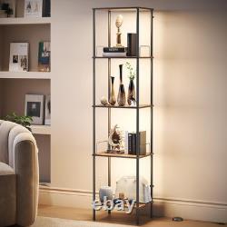 Display Shelf with Dimmable Lights, Lighted Display Cases for Collectibles, Adju