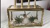 Dollar Tree Diy Glass Display Box Candle Holder Target Inspired Seasonal Decor