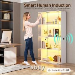 Guexl 66 Curio Cabinet with Lockable- 4-Tier LED Display Cases for Collectibles