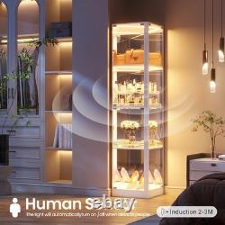 Gurexl Glass Display Cabinet with RGB Lights- Display Case with 4-Tier Shelfs