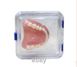 Hinged Display Box Jewelry Box Membrane Denture False Teeth Case 10X10X4cm