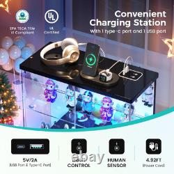 LED Glass Display Case with Lights & Sensor 2-Tier Cabinet for Collectibles