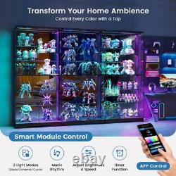 LED RGB Curio Cabinet, Lockable Clear Glass Display Case for Lego & Collectible