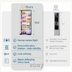 LED RGB Curio Cabinet, Lockable Clear Glass Display Case for Lego & Collectible