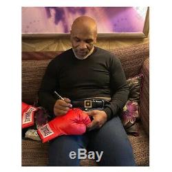 Mike Tyson Signed Red Boxing Glove In Display Case