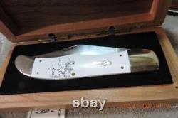 Minty Case XX 4165 1/2 White Buffalo Folding Hunter Knife With Wood Display box
