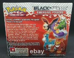 Pokemon Black & White Emerging Powers Factory Sealed Booster Box with Display Case