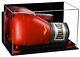 Single/Double Boxing Glove Display Case with Mirror WallMount & RedRisers A011-RR