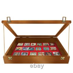 Trade Show Display Case Cards Sports Jewelry Display Small 18x22x3