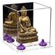 Versatile Display Case -Box with Mirror, Purple Risers & Clear Base(A015)