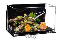 Versatile Display Case -Box with Silver Risers Mirror & WallMount 15x8x9(A013)