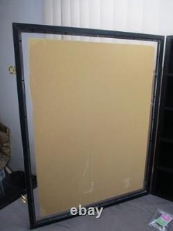 Wall Hanging 5 Shelf Shadow Box Display Case with Door & Locks 31 x 24.5