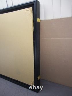 Wall Hanging 5 Shelf Shadow Box Display Case with Door & Locks 31 x 24.5